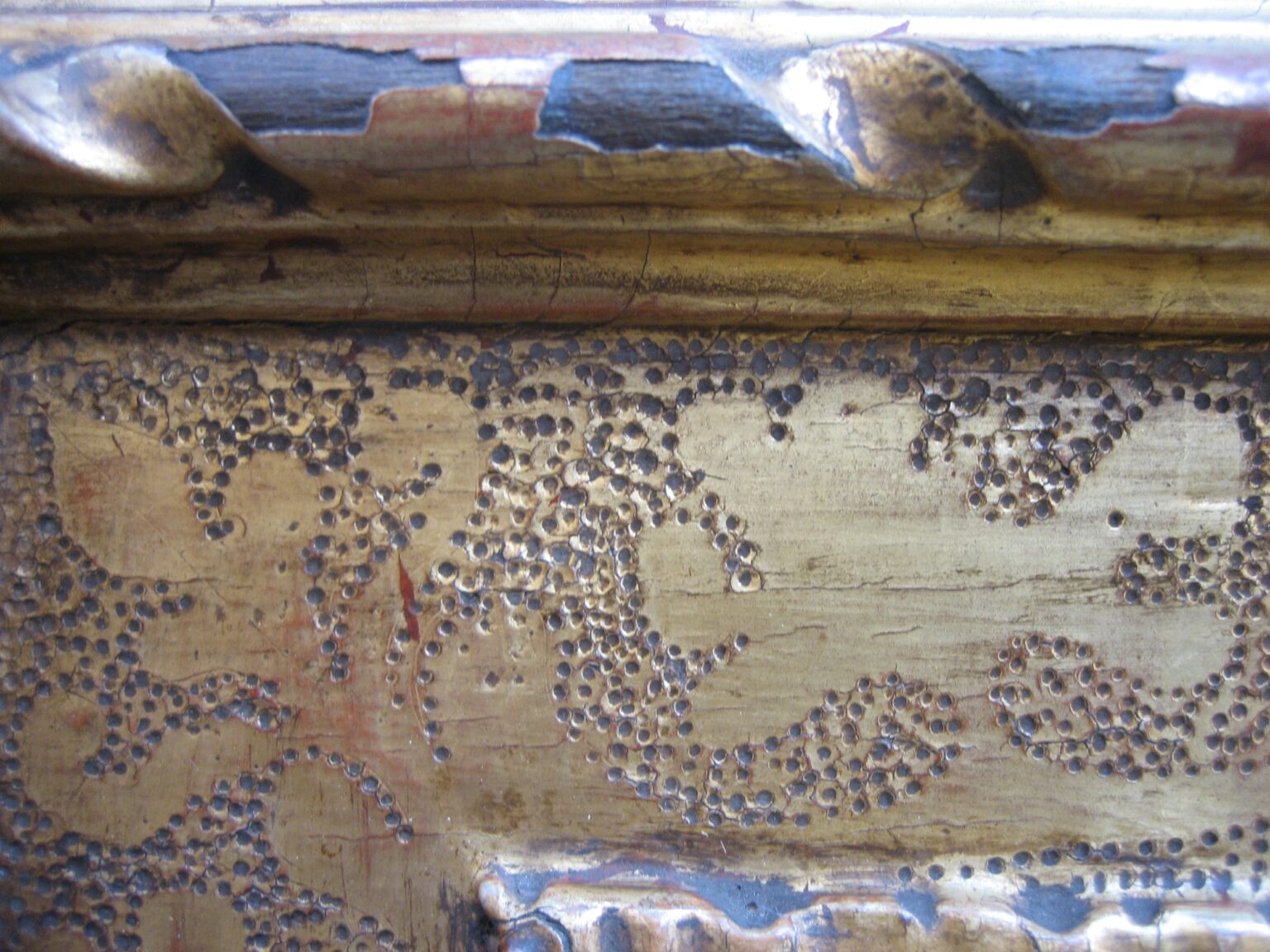 julia-markert-cartelle-repliche-emilia-xvi-secolo 03 (resize)