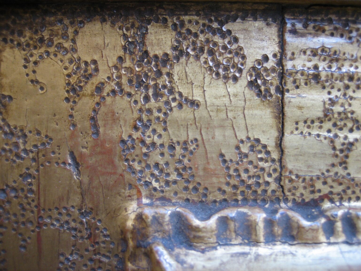 julia-markert-cartelle-repliche-emilia-xvi-secolo 06 (resize)